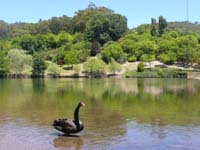 Adelaide Hills Mt Lofty Botanic Park